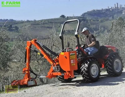 E-FARM: sonstige rinieri brf 350 - Verge mower - id BDWEECV - €13,825 - Year of construction: 2024 - Austria