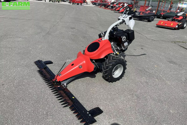 AEBI combicut cc110 aktionsmodell Lawn mower €12,992